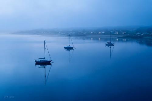 A quiet harbor with sailboats resting on still water, a few lit windows on the shore, the small line 'still water' in the lower left. Wide, low horizon. Powder blue to cobalt. Serene. Blue-hour image: monochrome blue from powder blue to deep cobalt, the soft light just after sunset, low contrast and hazy, gentle gradients, any text small and thin in white serif or sans-serif. Calm, still and dreamy, a real photograph.