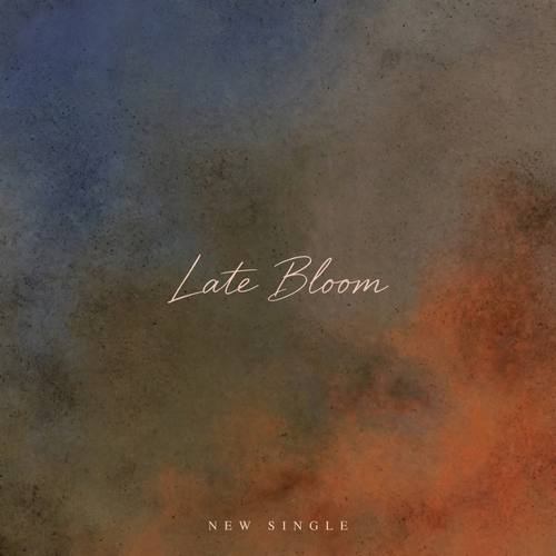 A music single cover titled 'Late Bloom' in thin handwritten script across the middle, with the small line 'NEW SINGLE' in spaced serif capitals at the bottom. Square cover, the gradient filling the whole frame. Dusky blue bleeding into rust orange and murky brown. Wistful and late-night. Dirty gradient artwork: two or three large soft color fields melting into each other across the whole frame, the blend passing through muddy, desaturated in-between tones instead of a clean smooth transition, an even layer of fine film grain and noise over everything; no rust, stains, scratches or wall texture; minimal typography of thin handwritten script plus tiny widely spaced serif capitals in a light color, clearly legible. Moody, human, analog.
