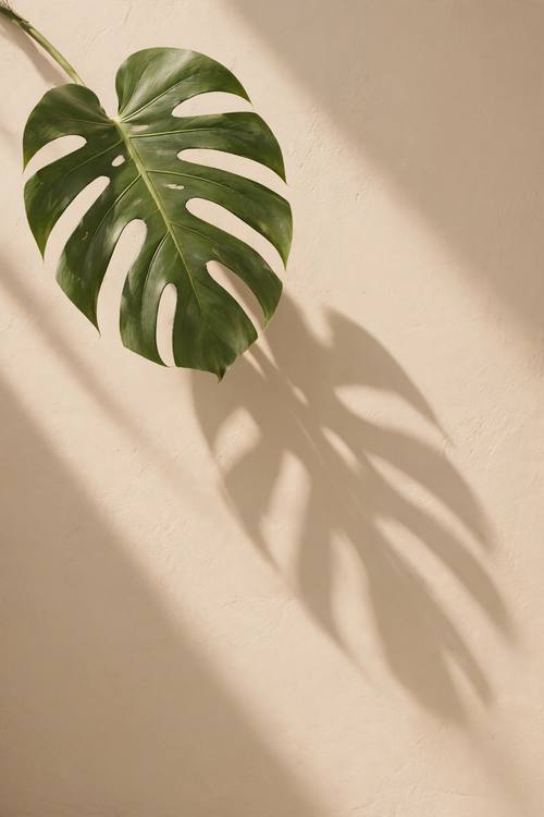 A phone wallpaper of a single monstera leaf casting a soft shadow on a warm sand-colored wall, morning light, minimal and serene.