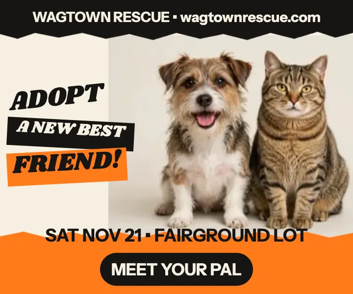 Wagtown Rescue adoption fair cut-paper ad template