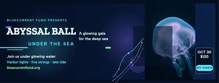 Abyssal Ball deep-sea gala cover template