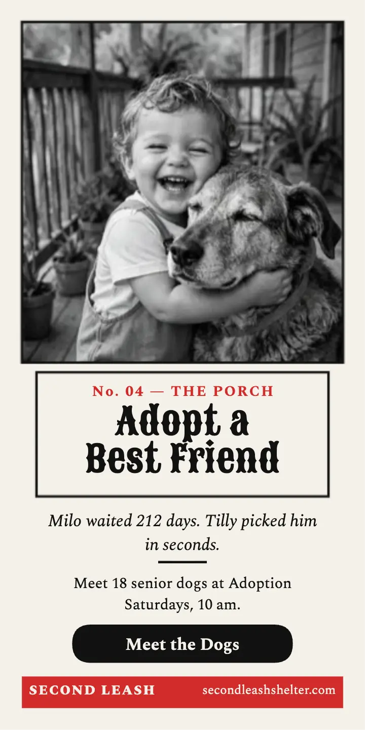 Second Leash adopt a best friend ad template