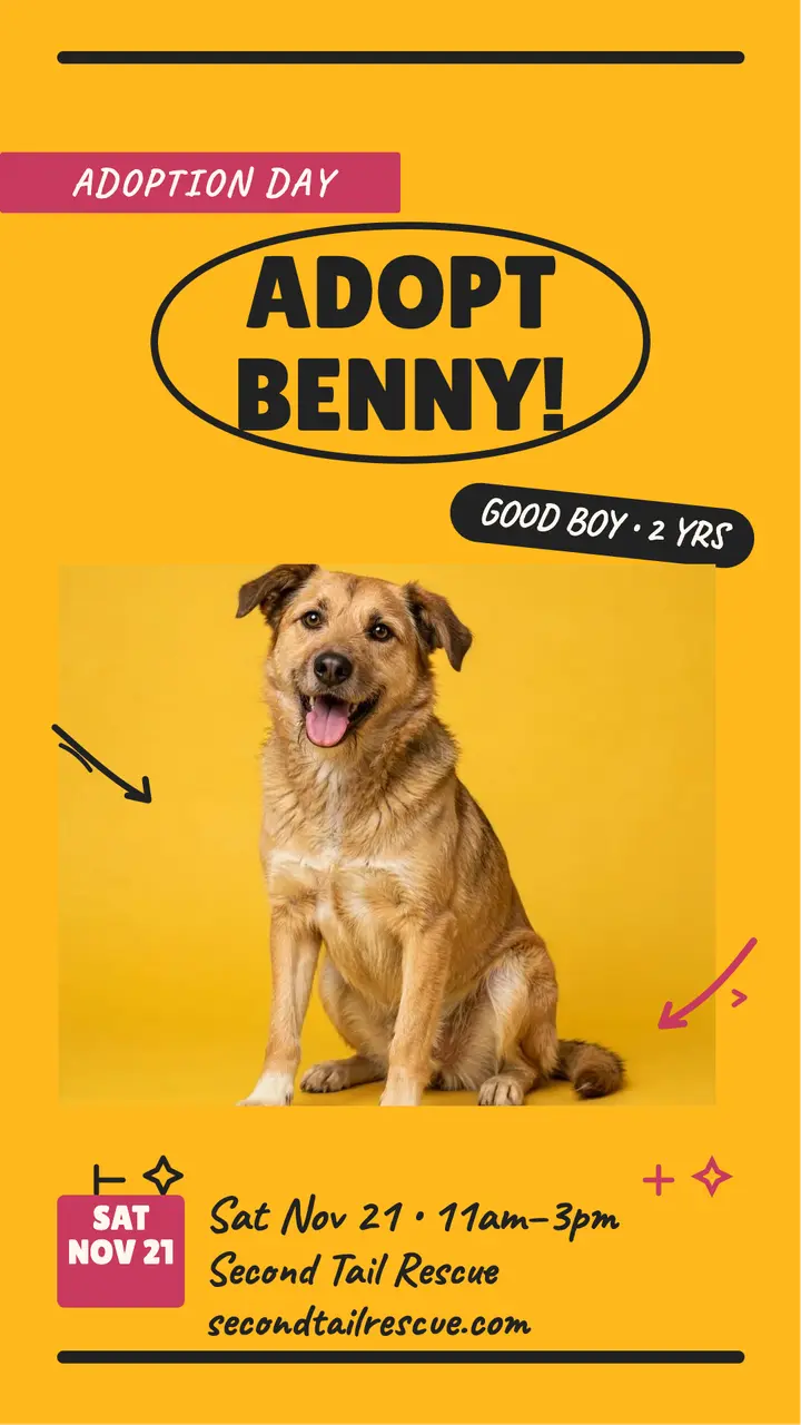 Adopt Benny shelter dog story template