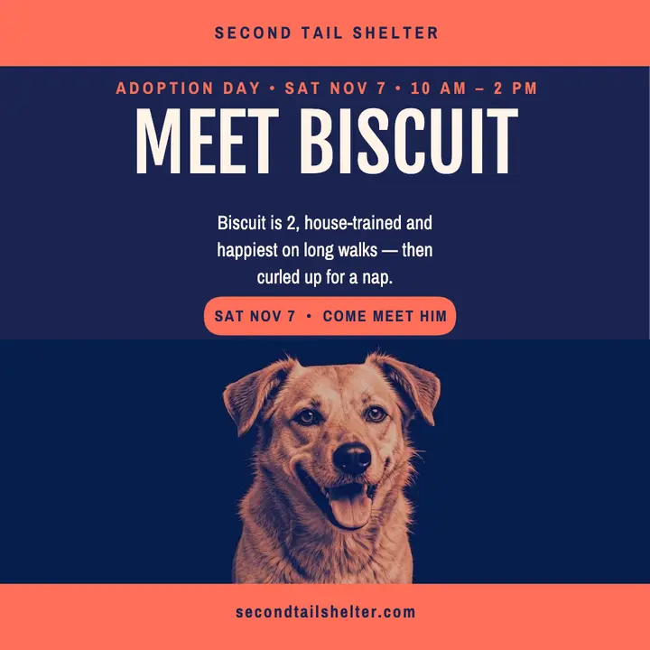 Biscuit shelter dog adoption post template
