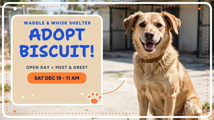 Adopt Biscuit shelter thumbnail template
