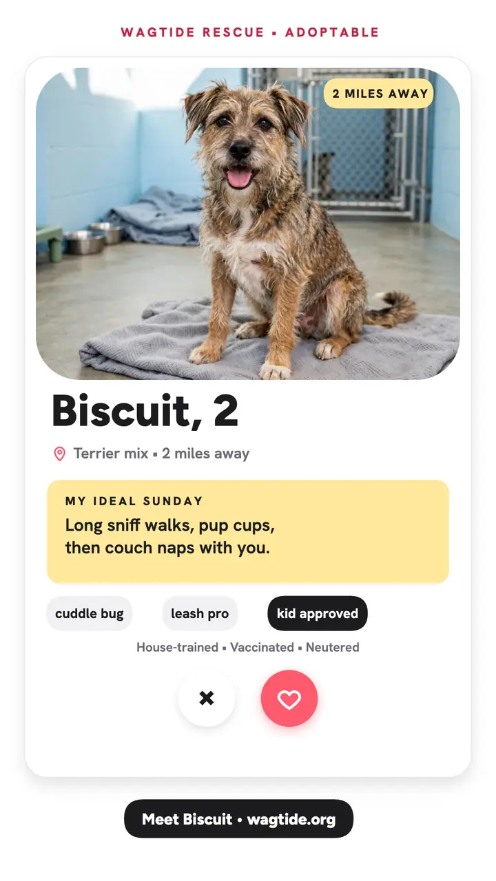 Biscuit adoption profile story template