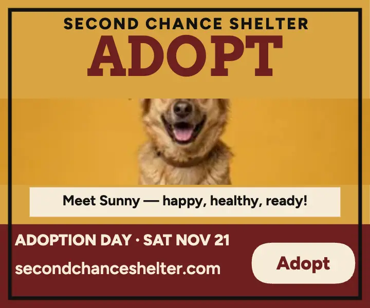 Sunny adoption day plakatstil ad template