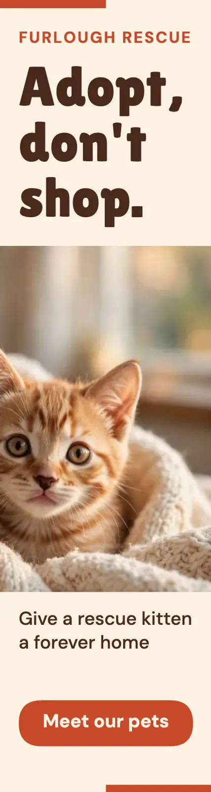 Adopt, don't shop skyscraper ad template