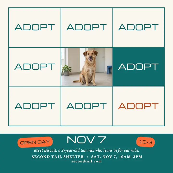 Second Tail open day adopt grid template