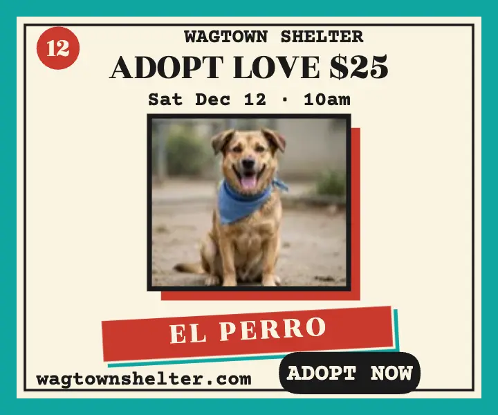 Wagtown Shelter adoption loteria ad template