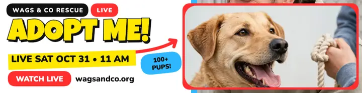 Wags and Co adopt me live billboard: adopt me live template