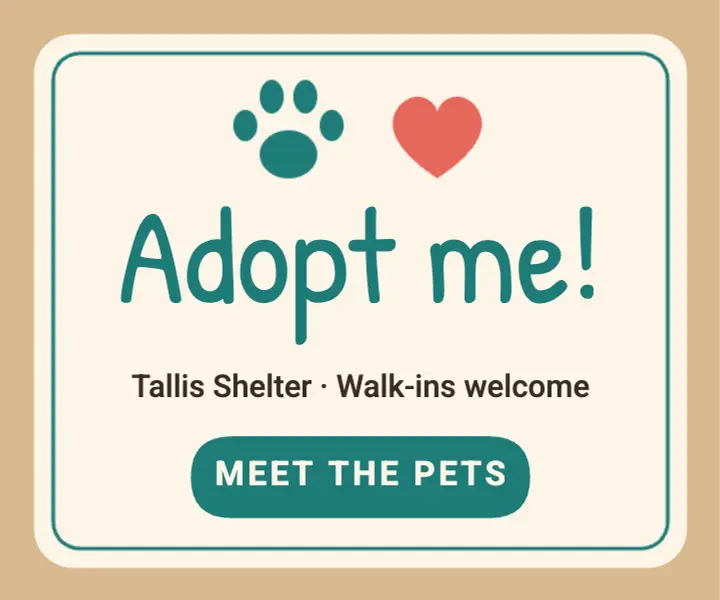 Adopt me pet shelter ad template