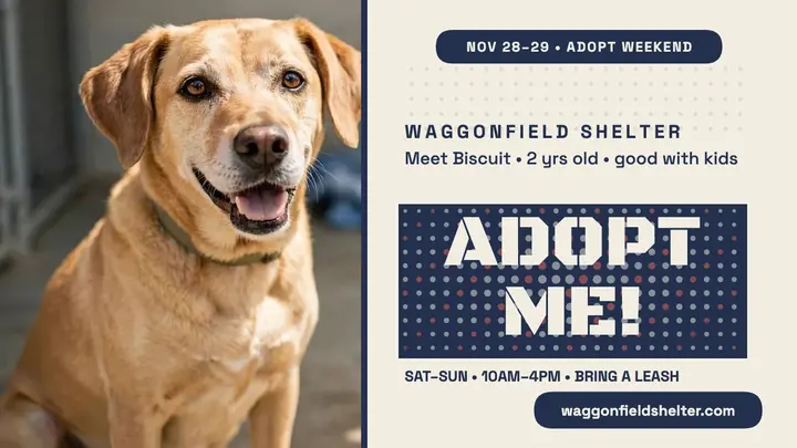 Waggonfield Shelter adopt me thumbnail template