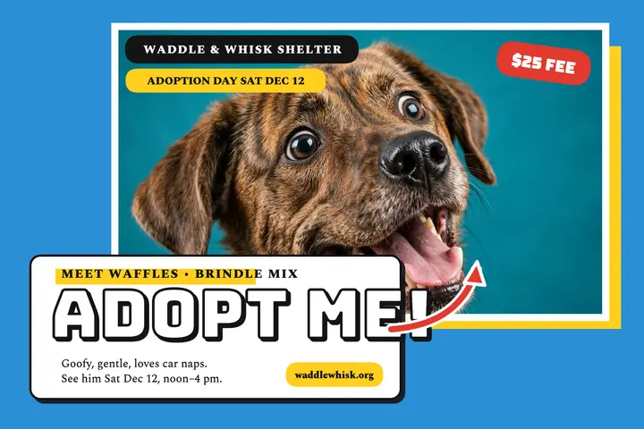 Waddle and Whisk adoption day postcard template