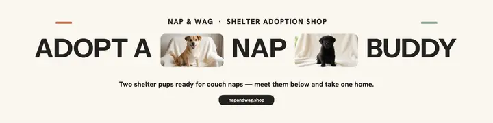 Nap and Wag shelter dog banner template