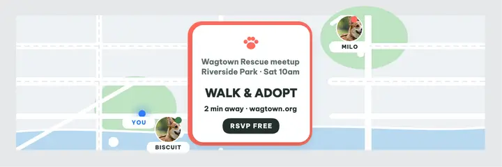 Wagtown walk and adopt map header: dog adoption walk header template