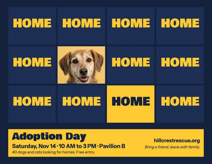 Pet adoption day flyer, Hillcrest Rescue template