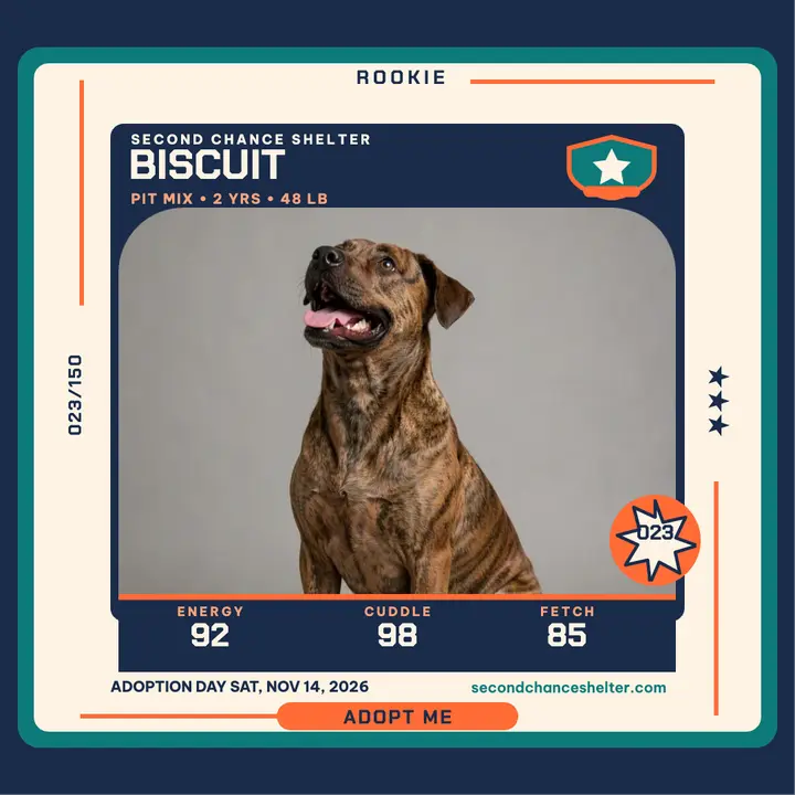 Biscuit adoptable dog trading card template