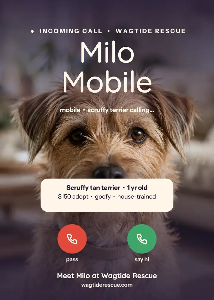 Milo terrier adoption call invitation: pet adoption call post template