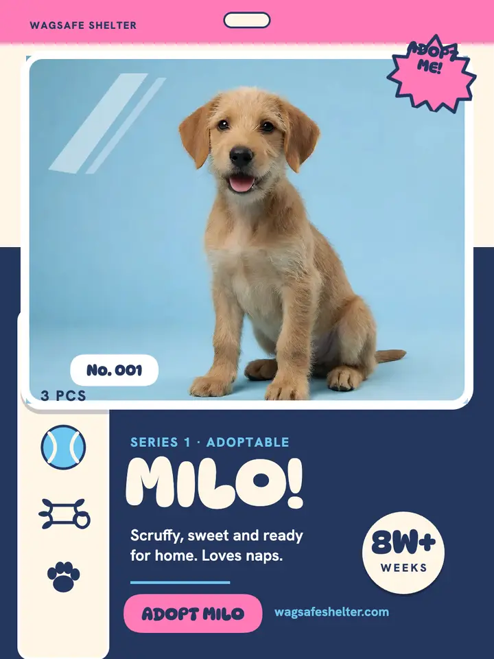 Milo adoptable puppy blister pack template