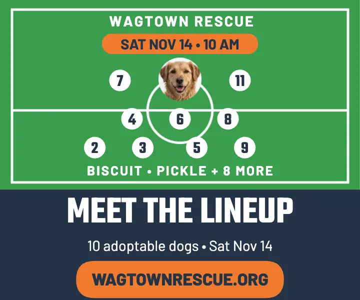 Wagtown Rescue adoption lineup ad template