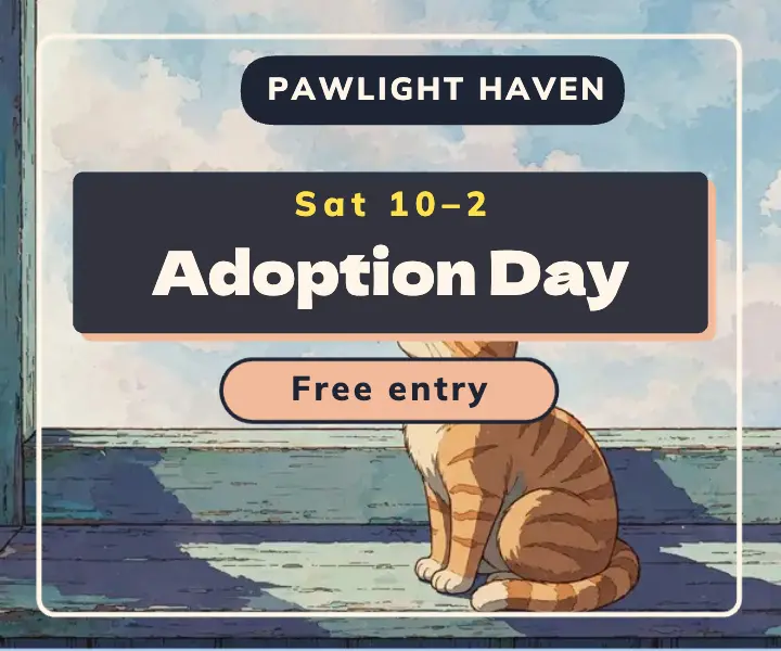 Pawlight Haven adoption day ad, 90s anime cel template