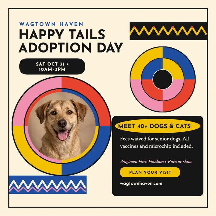 Wagtown Haven adoption day discs post template