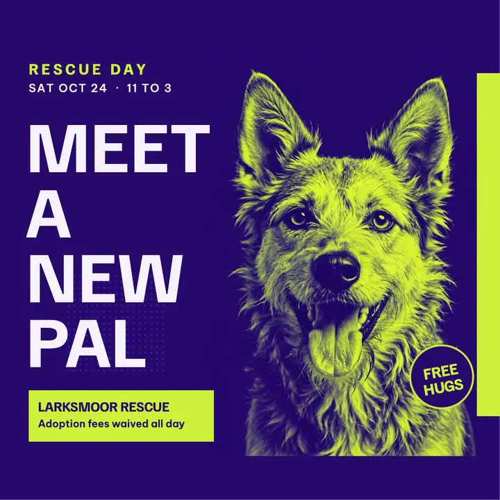 Pet adoption day in violet and lime duotone template