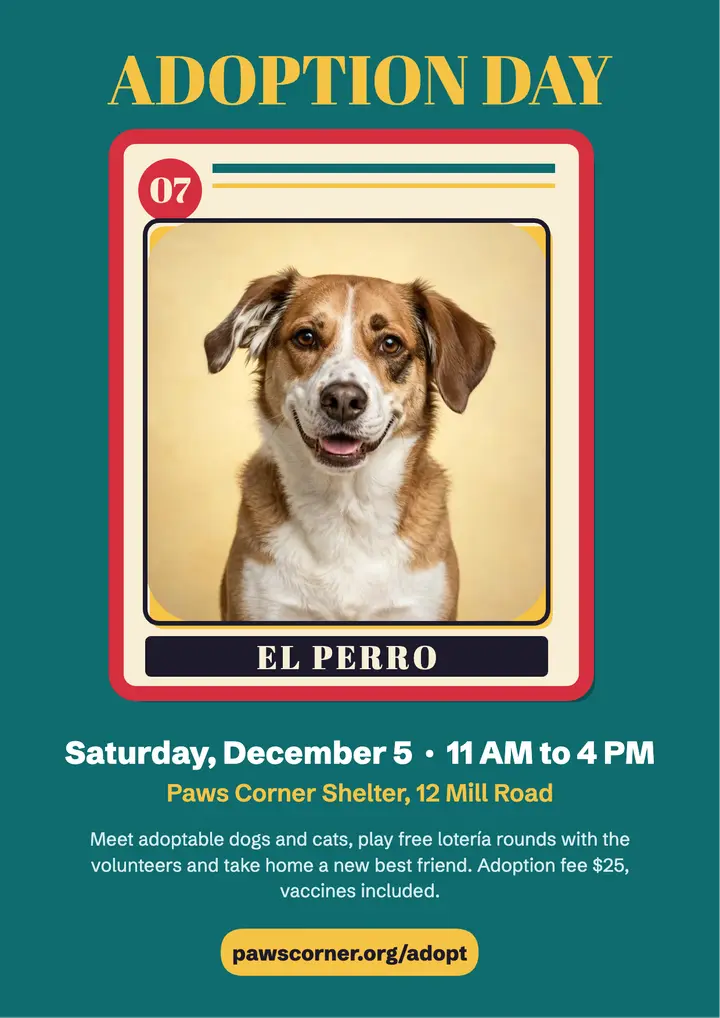 Paws Corner loteria adoption day flyer template