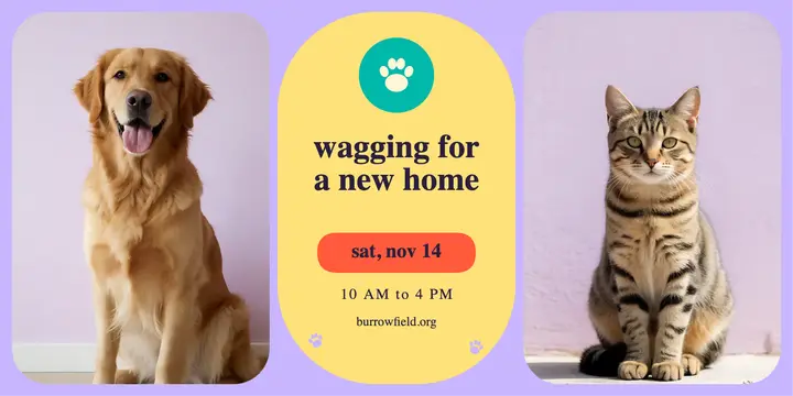 Burrowfield shelter adoption day post template