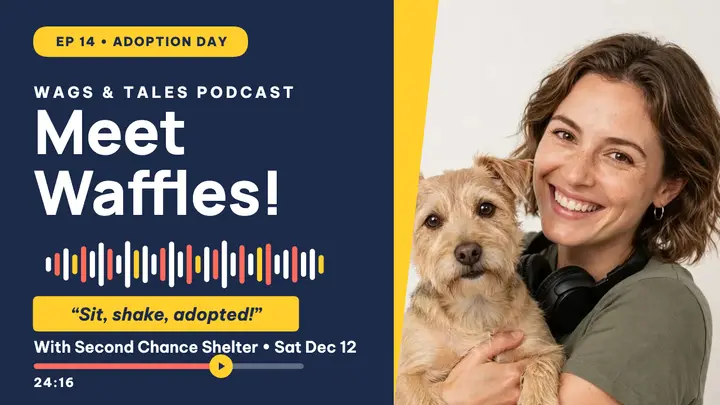 Meet Waffles adoption podcast thumbnail template