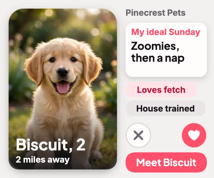 Adoption day profile card ad template
