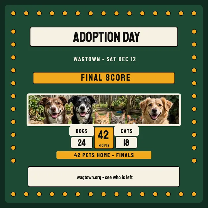 Wagtown Adoption Day scoreboard post template