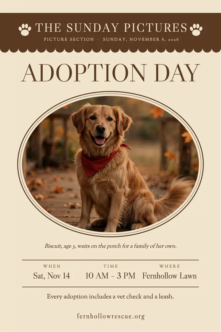 Fernhollow adoption day Sunday picture section poster: pet adoption day poster template