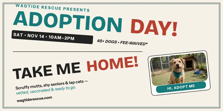 Wagtide Rescue adoption day type post template