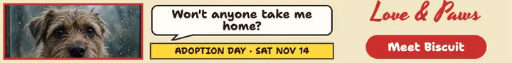 Love & Paws adoption day leaderboard: pet adoption ad template