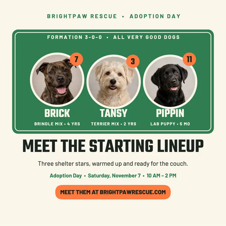 Brightpaw adoption day starting lineup template