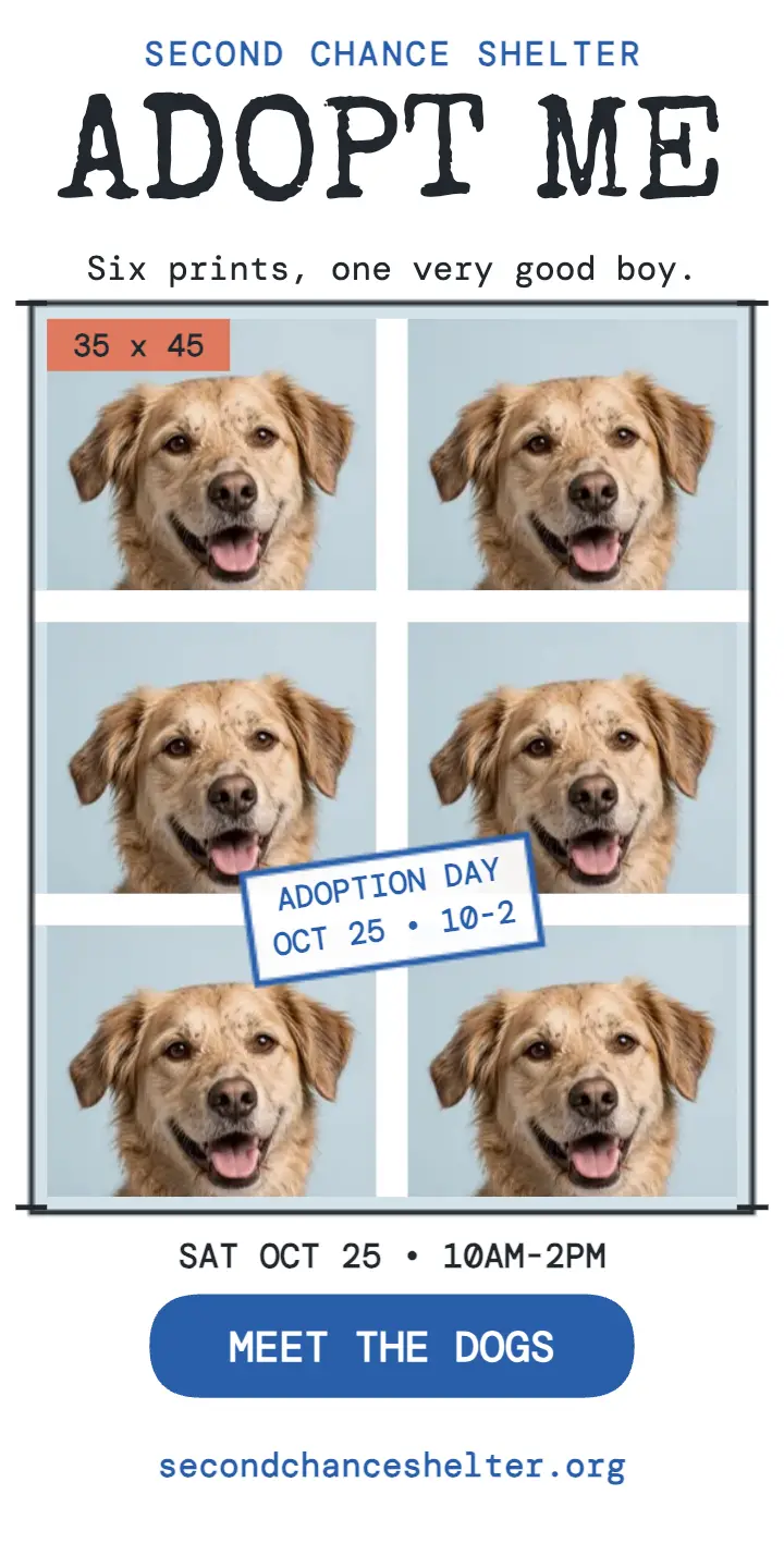 Adoption day photo sheet half page ad: pet adoption day ad template