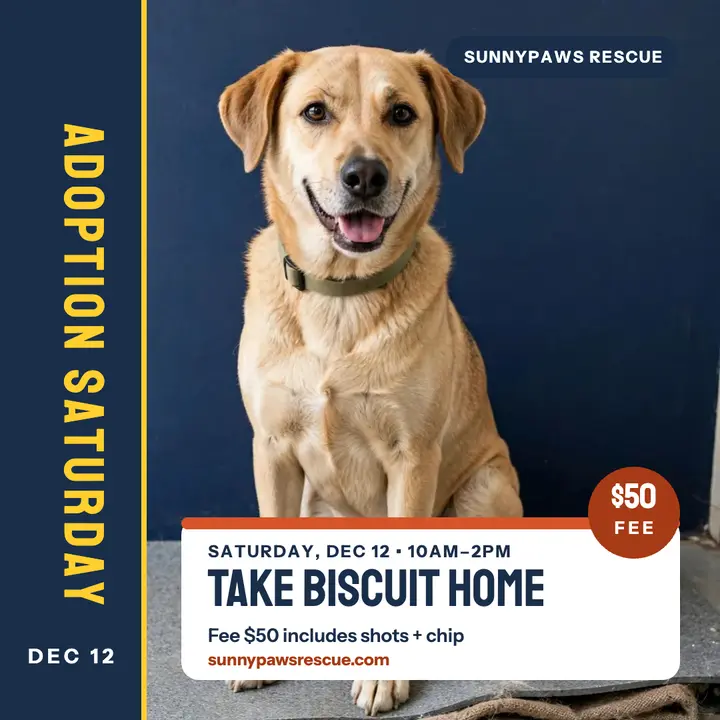 Sunnypaws adoption Saturday spine post template