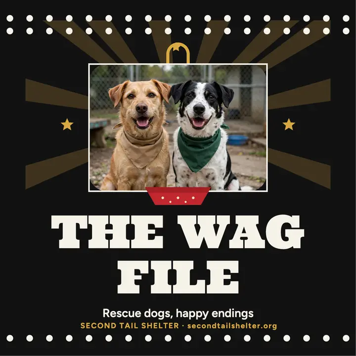 The Wag File adoption show pearly cover template