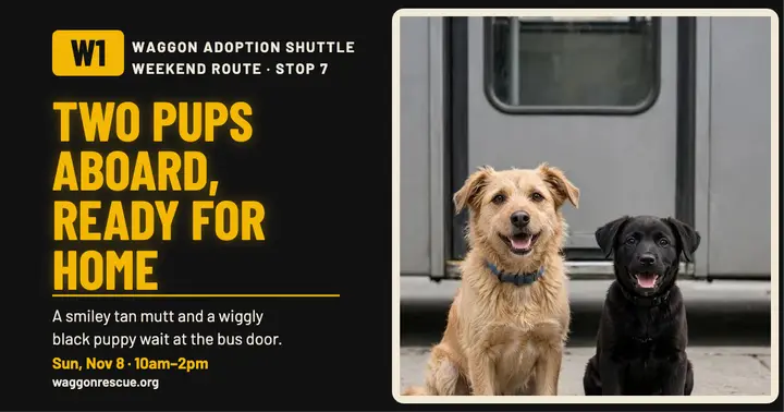 Waggon Adoption Shuttle facebook post template