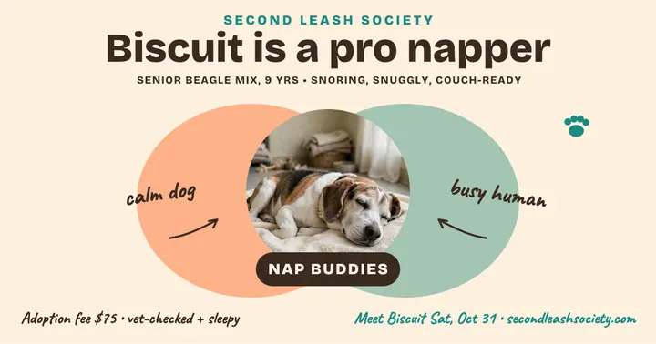 Biscuit nap buddies adoption post template