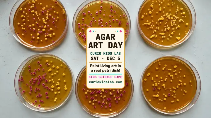 Curio Kids Lab agar art day thumbnail template