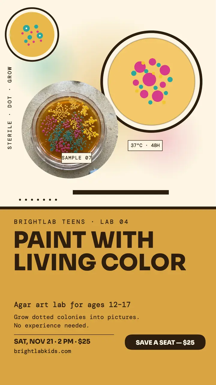 Brightlab Teens agar art workshop story template