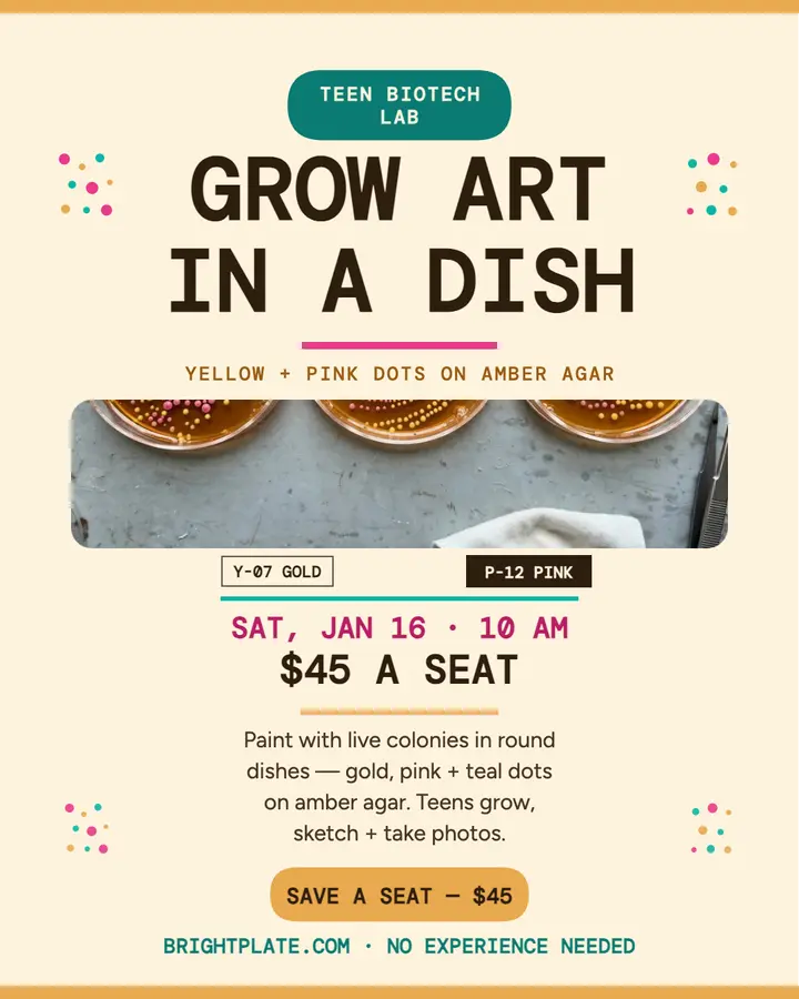 Brightplate agar art class post template