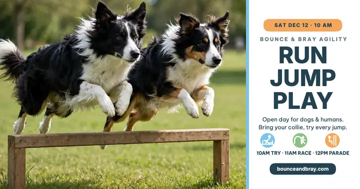 Bounce and Bray agility open day template