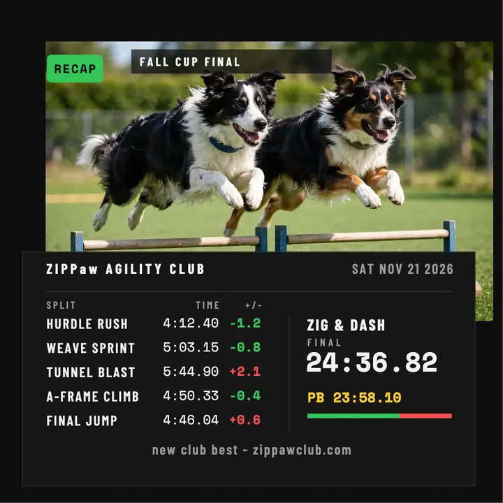 ZipPaw agility fall cup speedrun recap template