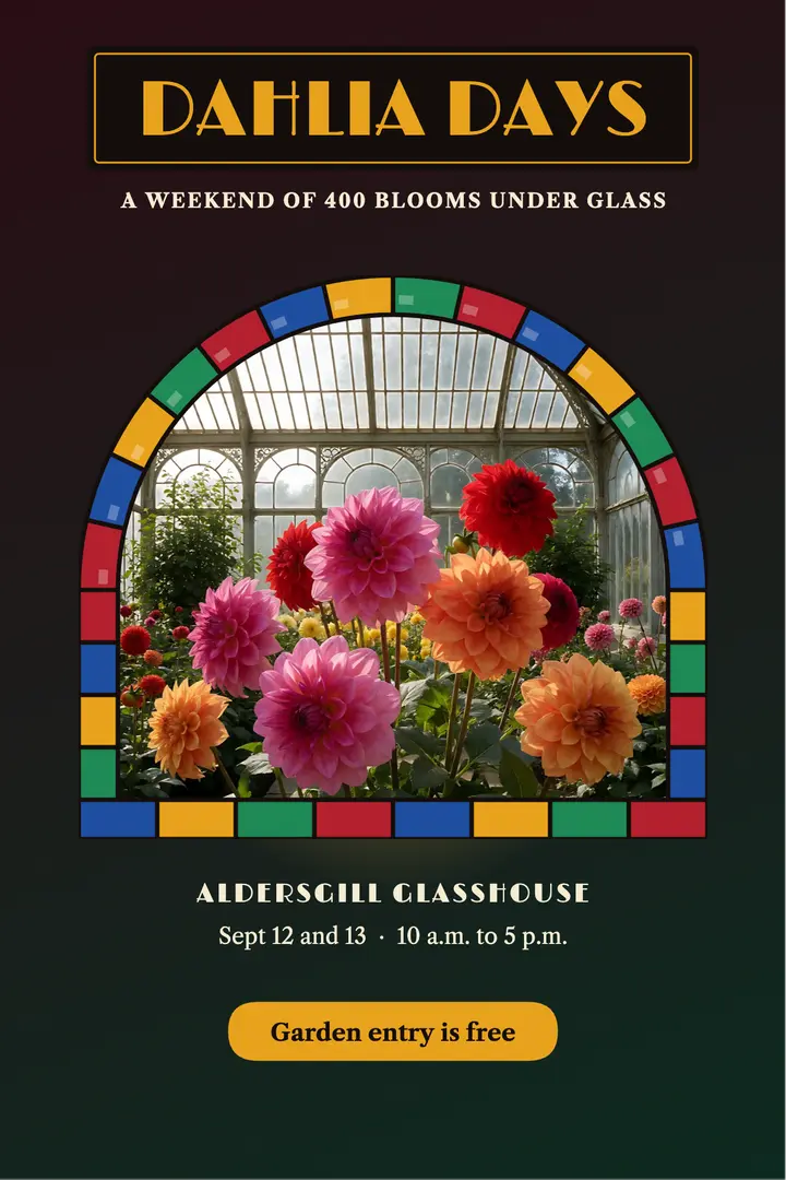 Dahlia festival, stained glass poster template