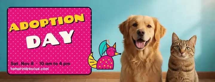 Adoption Day shelter cover template