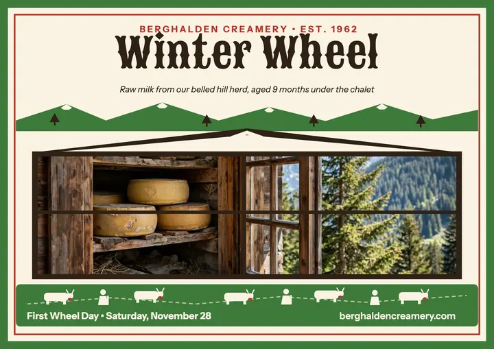 Berghalden first winter wheel certificate: cheese launch certificate template